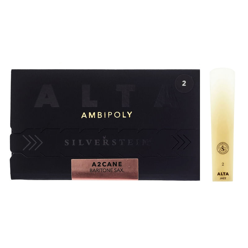 Alta-ambipoly-baritono-jazz-2-1