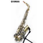 sax1
