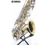 sax2