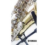 sax3