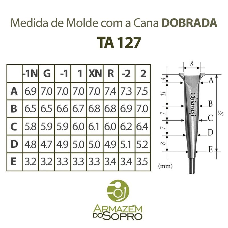 molde Chiarugui